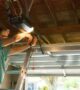 Which Garage Door Opener Is Best? A Complete 2025 Buying Guide